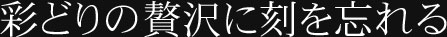 彩どりの贅沢に刻を忘れる