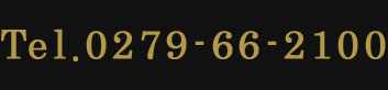 電話予約番号：0279-66-2100