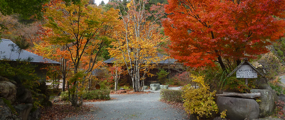 紅葉庭園